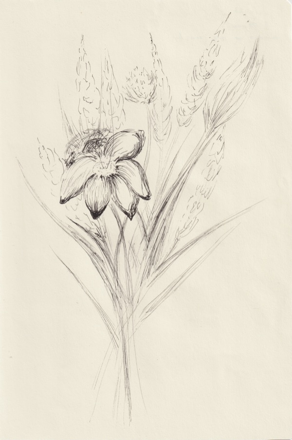 Field Notes on Fragility